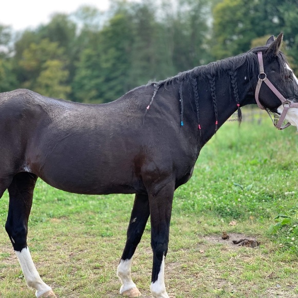 Happiness - Picture 4 of 6